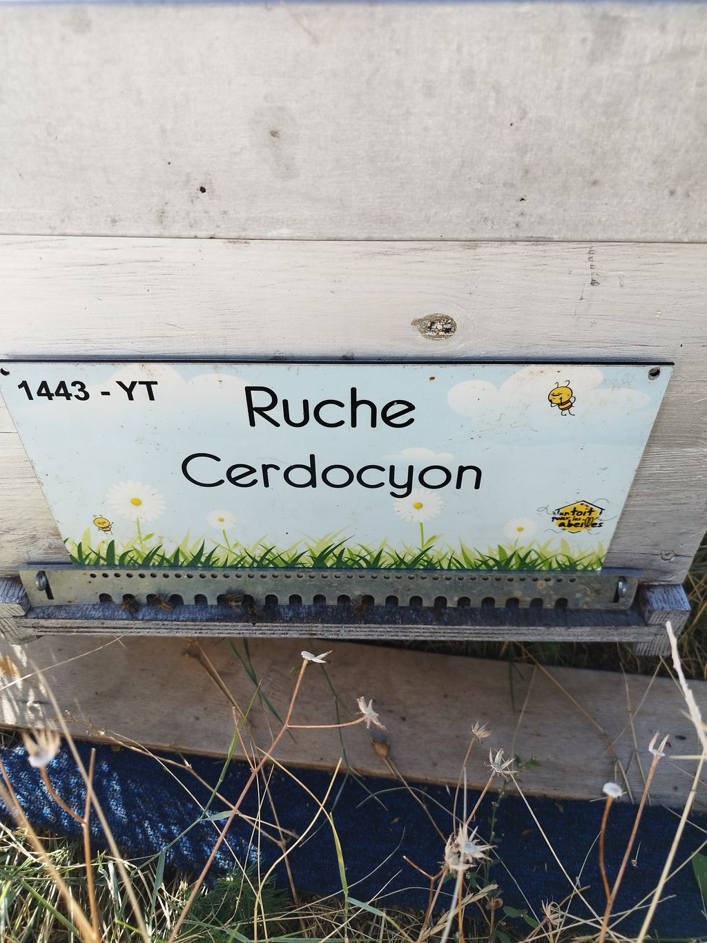 La ruche Cerdocyon