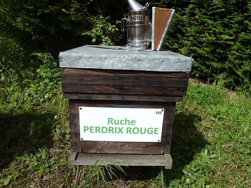 La ruche