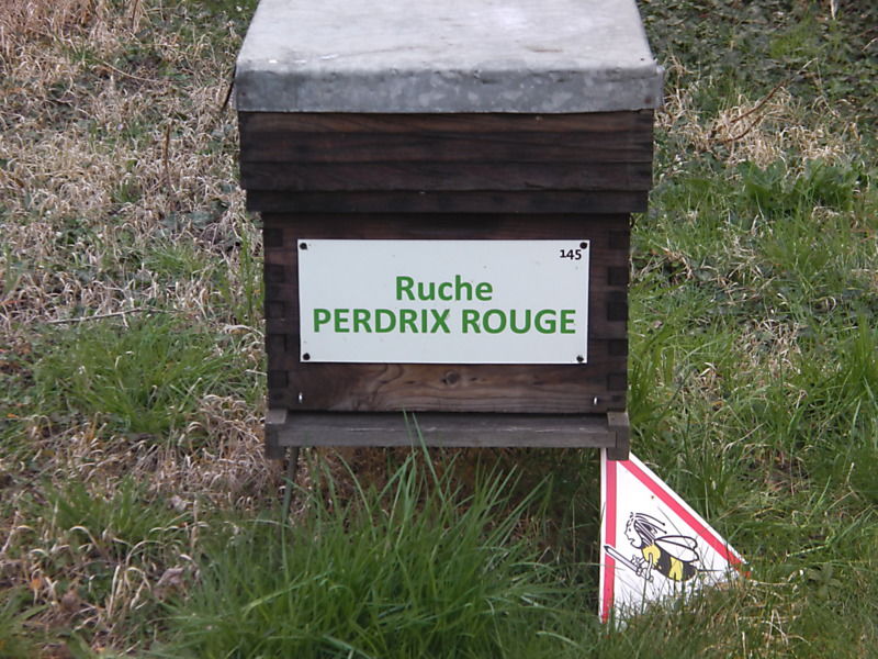 La ruche Perdrix rouge