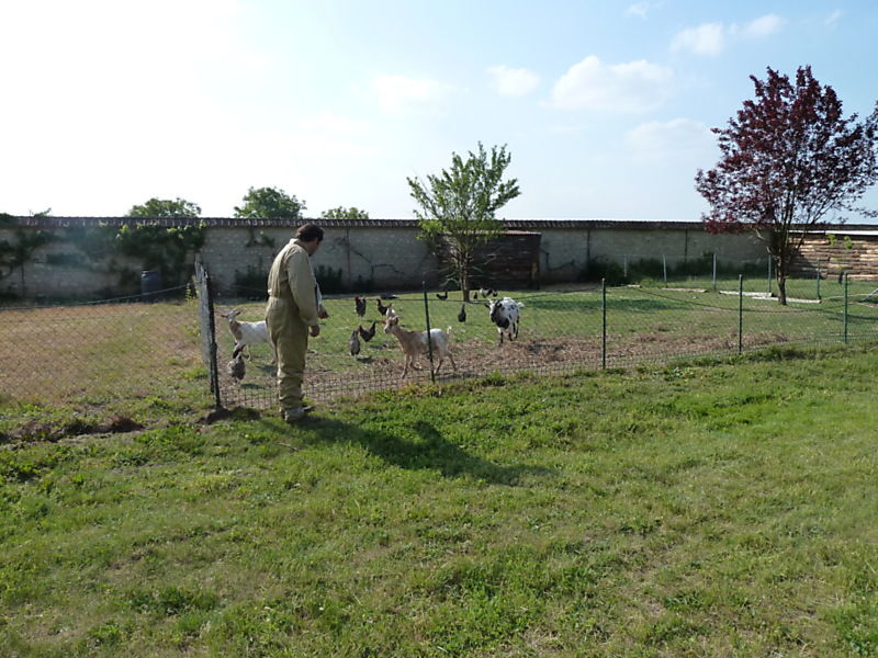 La ruche Perdrix rouge