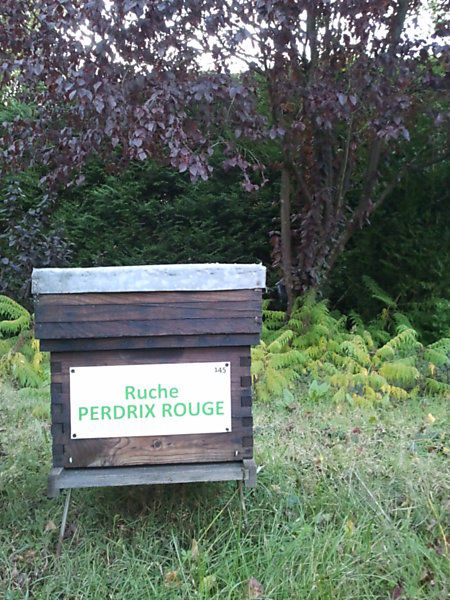 La ruche Perdrix rouge