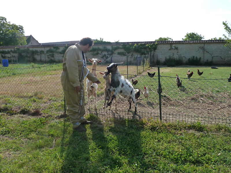 La ruche Perdrix rouge