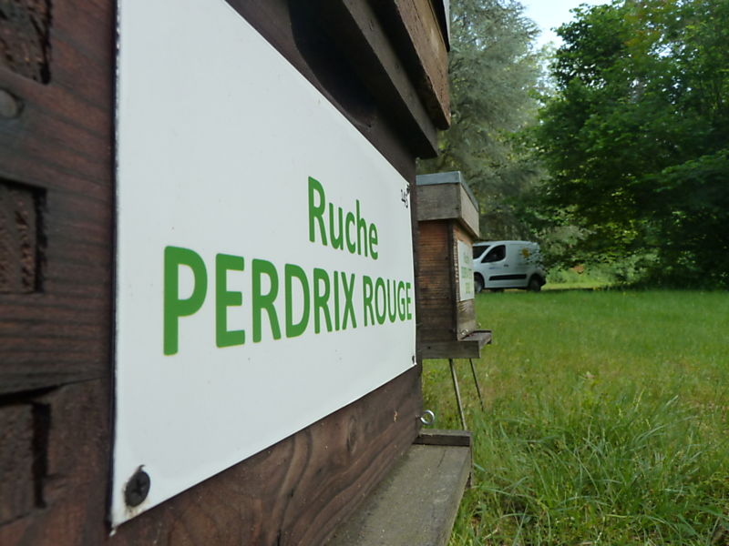La ruche Perdrix rouge