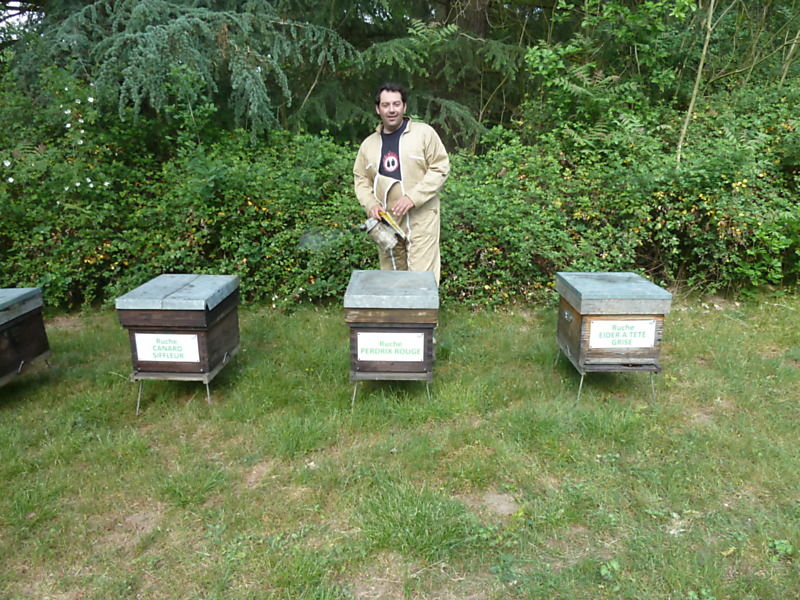 La ruche Perdrix rouge