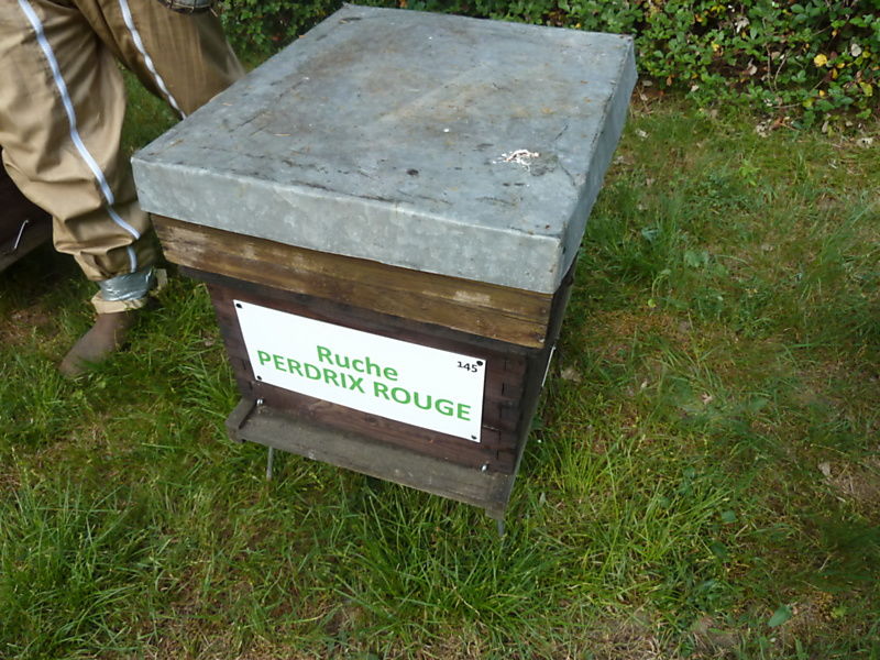 La ruche Perdrix rouge