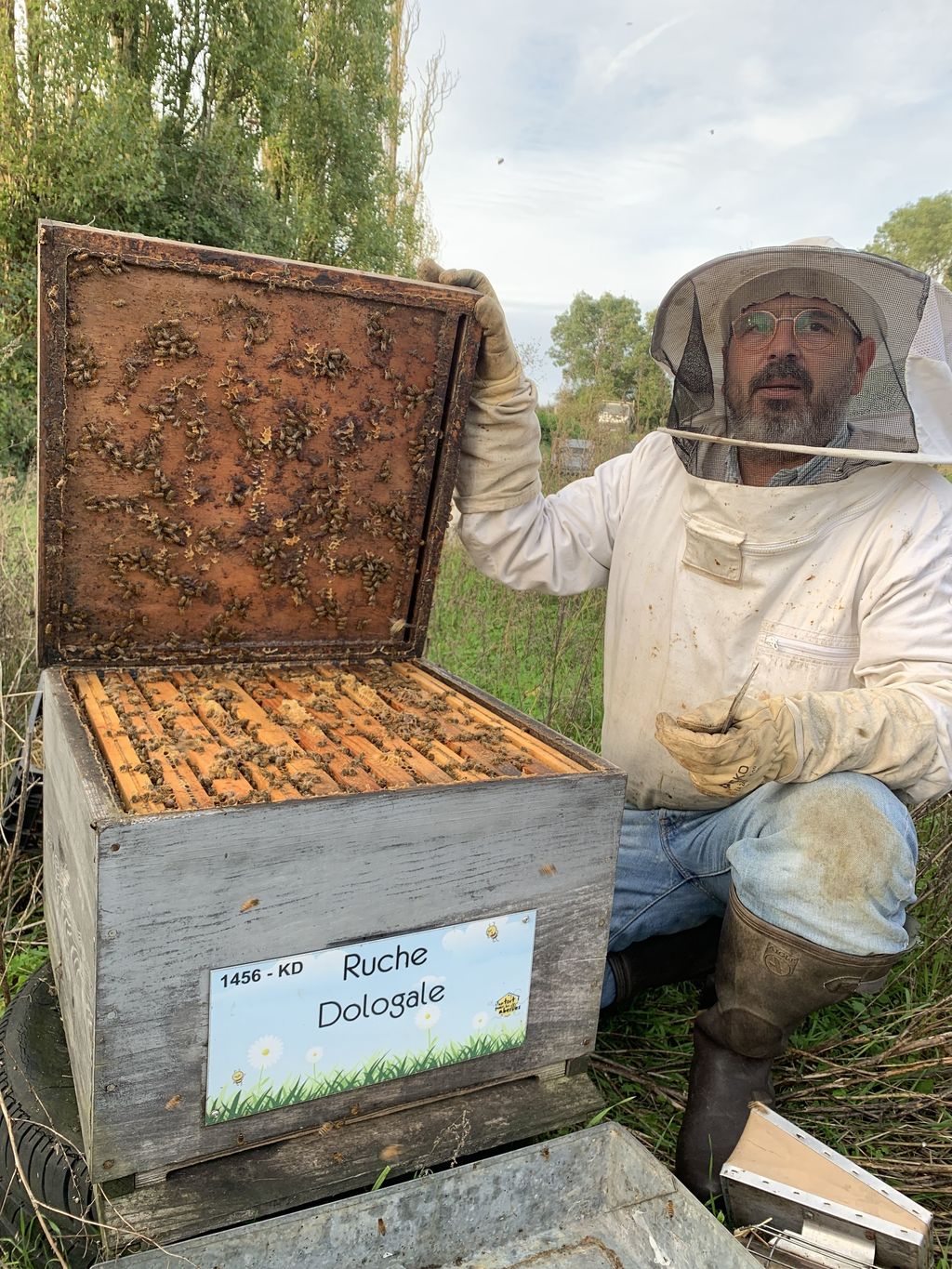 La ruche Dologale