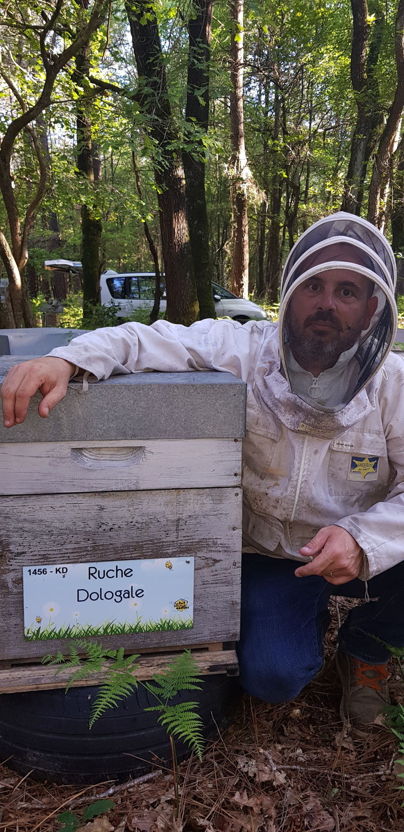La ruche Dologale