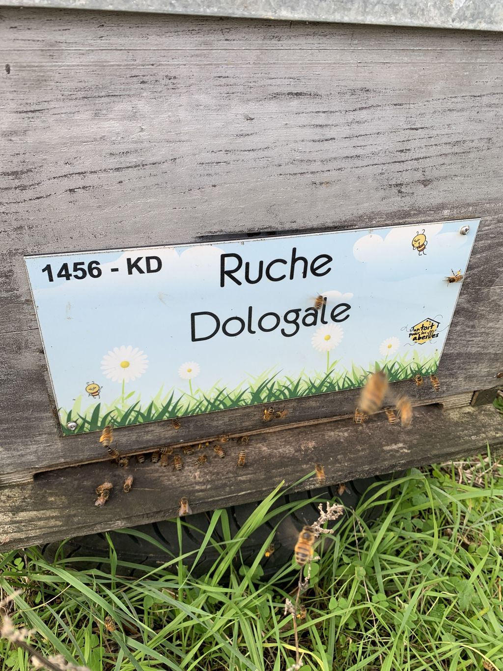 La ruche Dologale