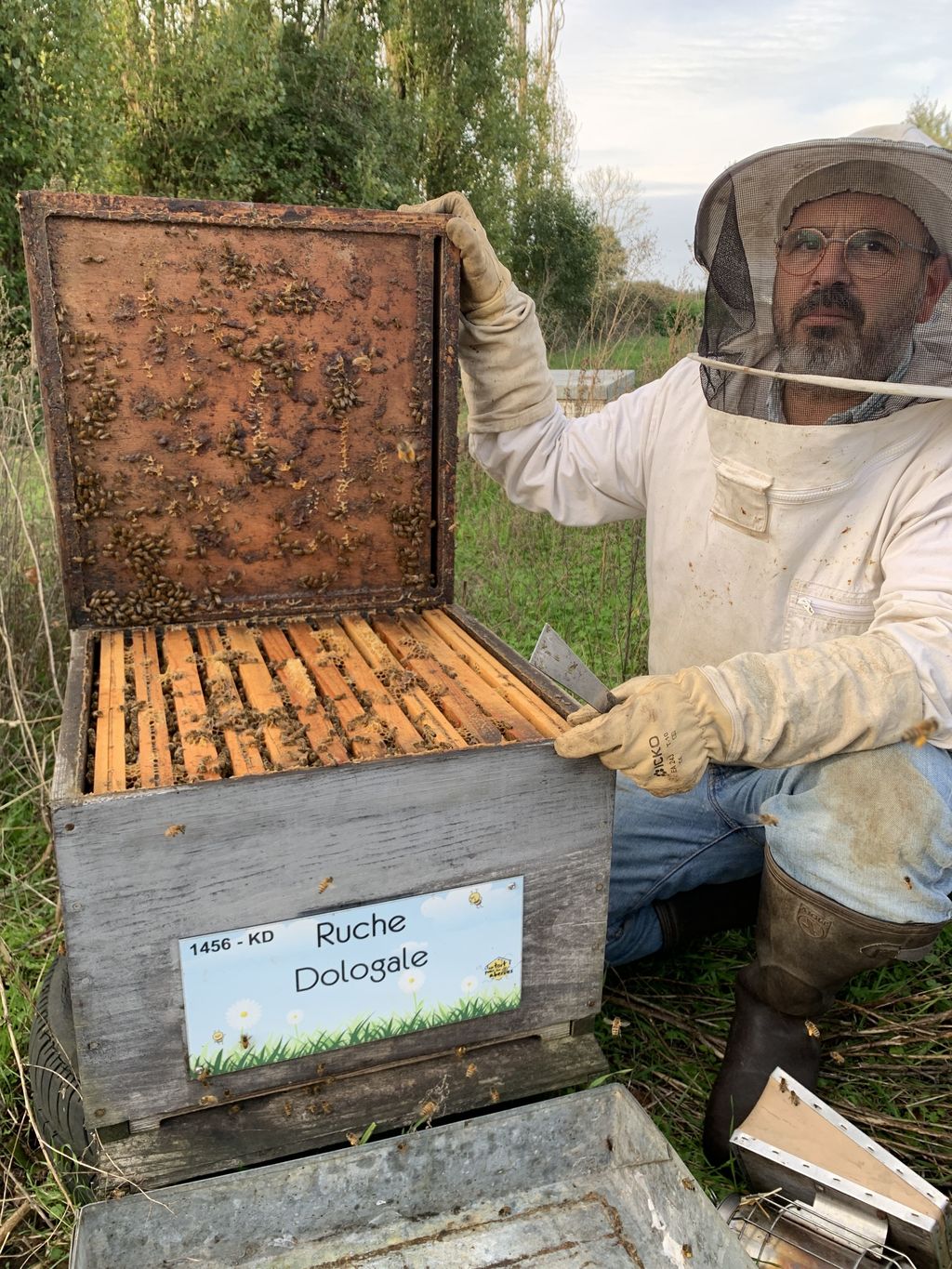 La ruche Dologale