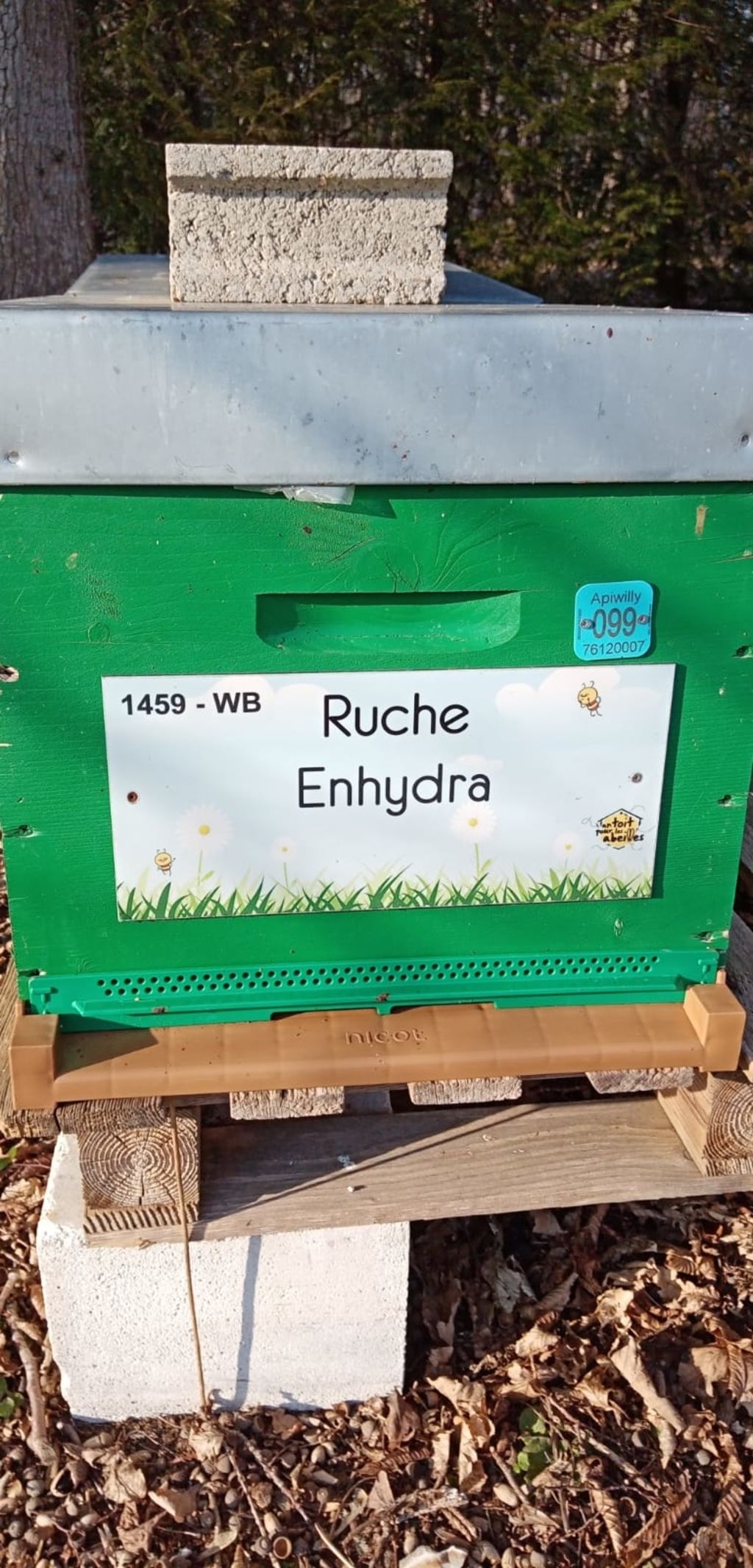 La ruche Enhydra