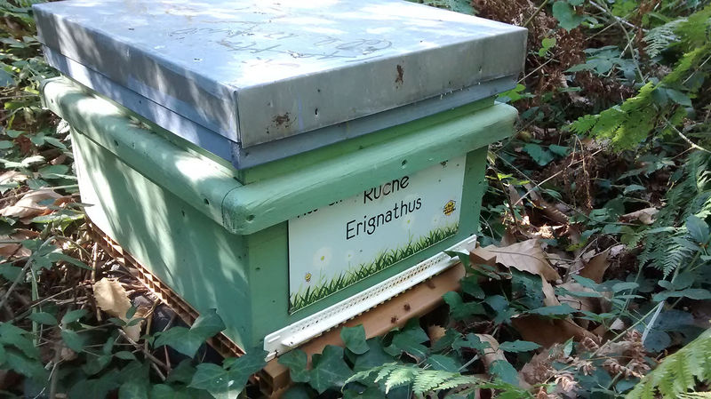 La ruche Erignathus