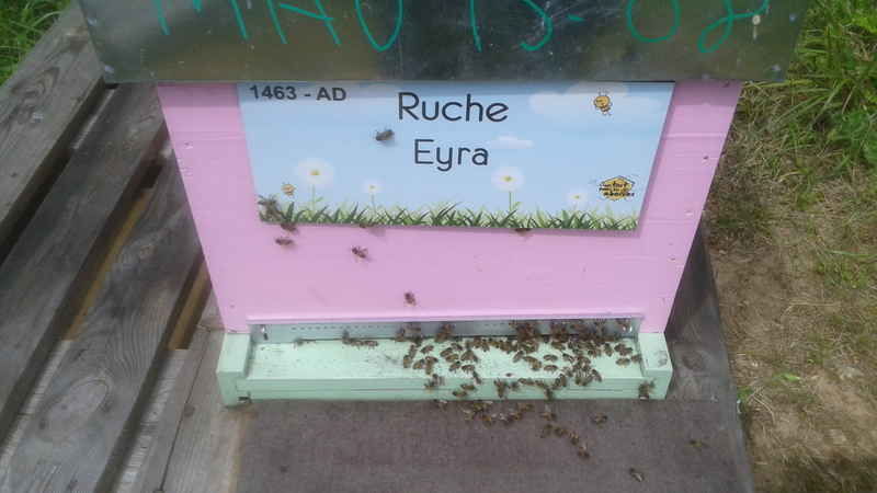 La ruche 