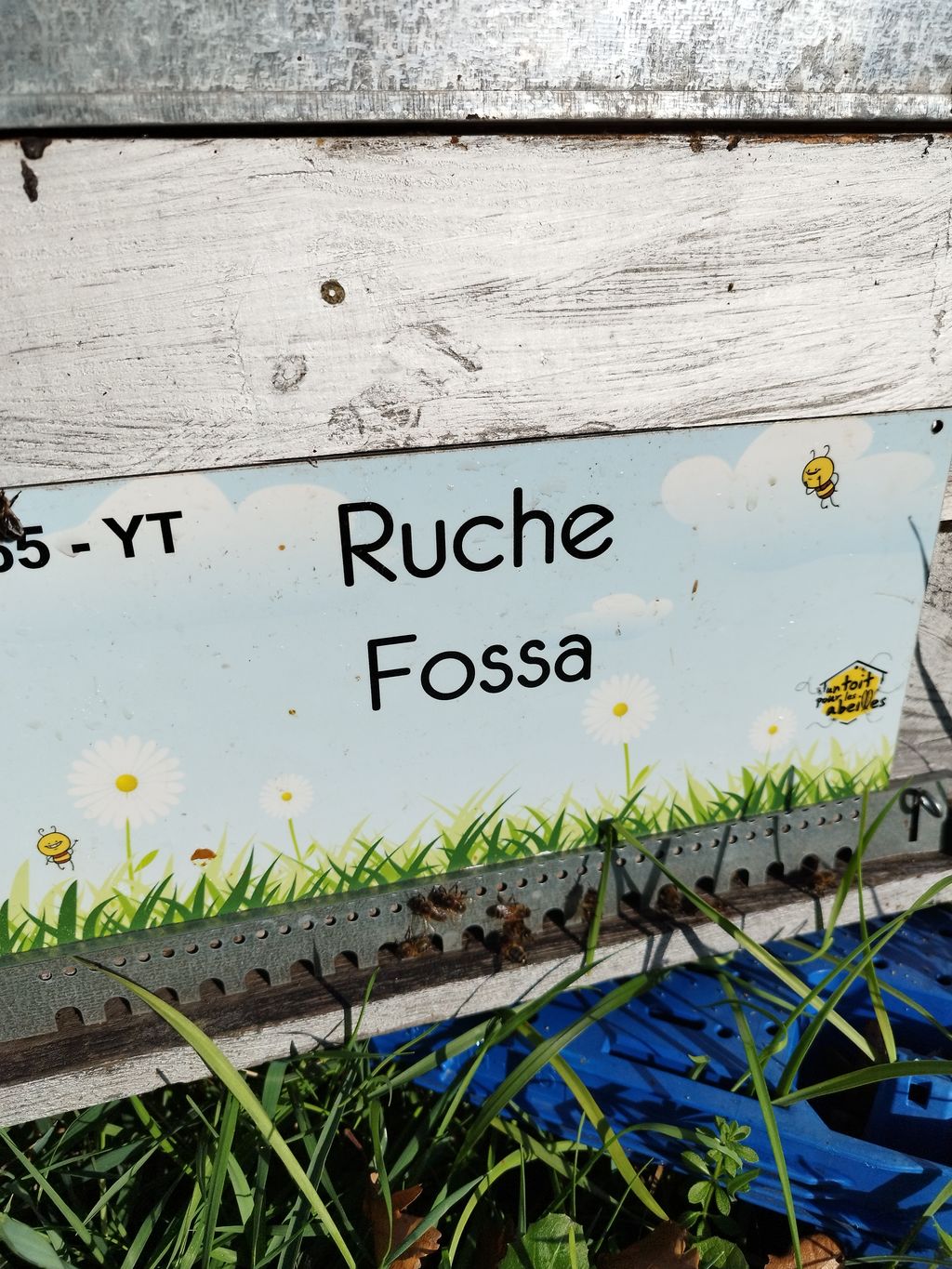 La ruche Fossa