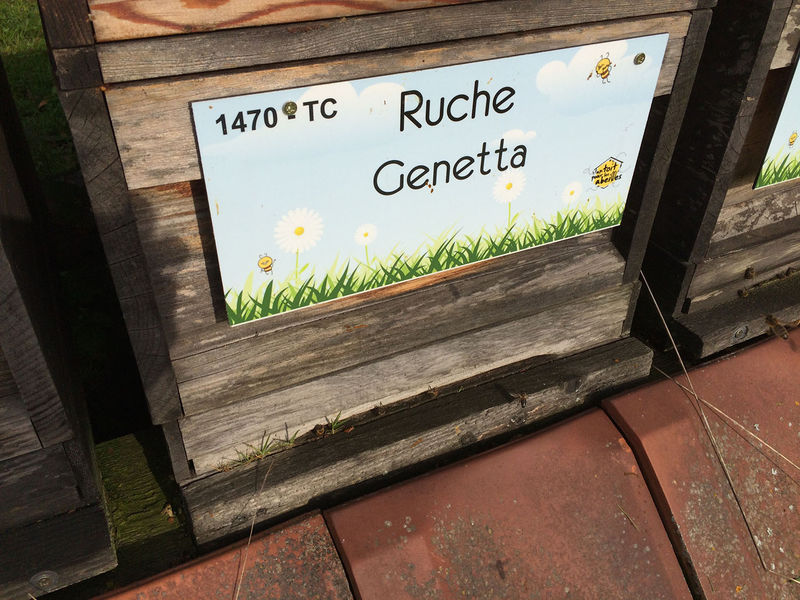 La ruche