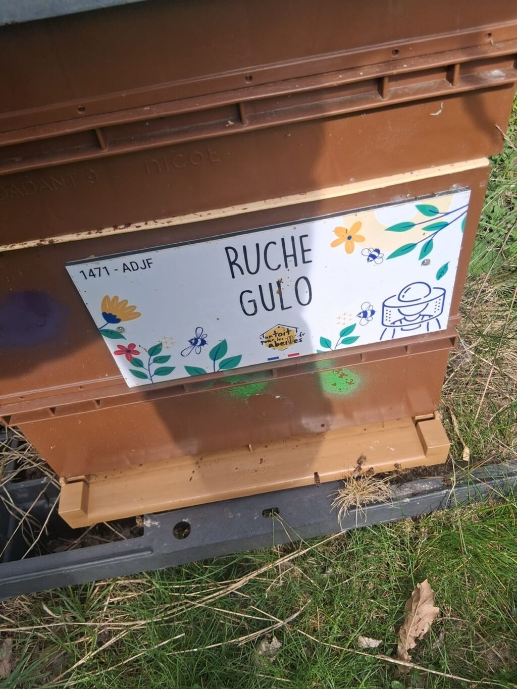 La ruche Gulo