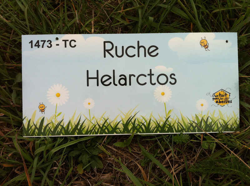 La ruche