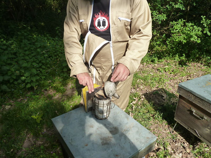 La ruche Fulmar boréal