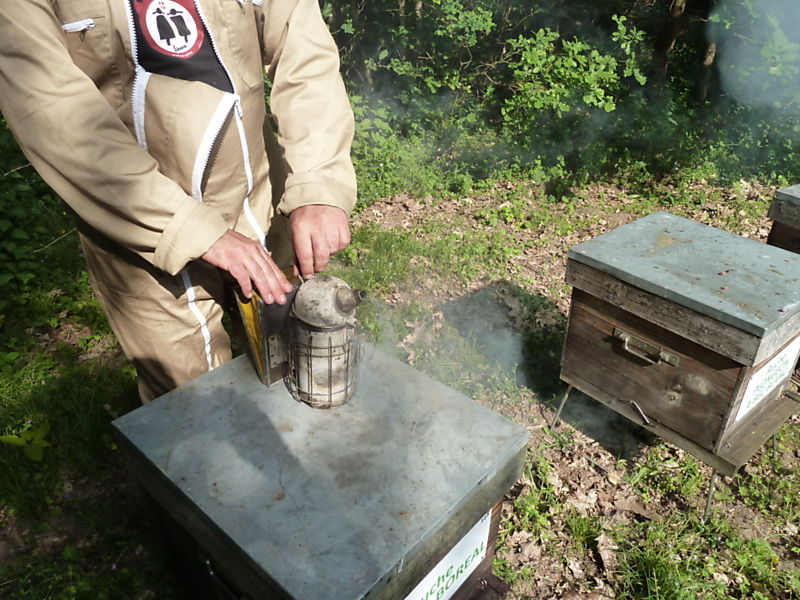 La ruche Fulmar boréal
