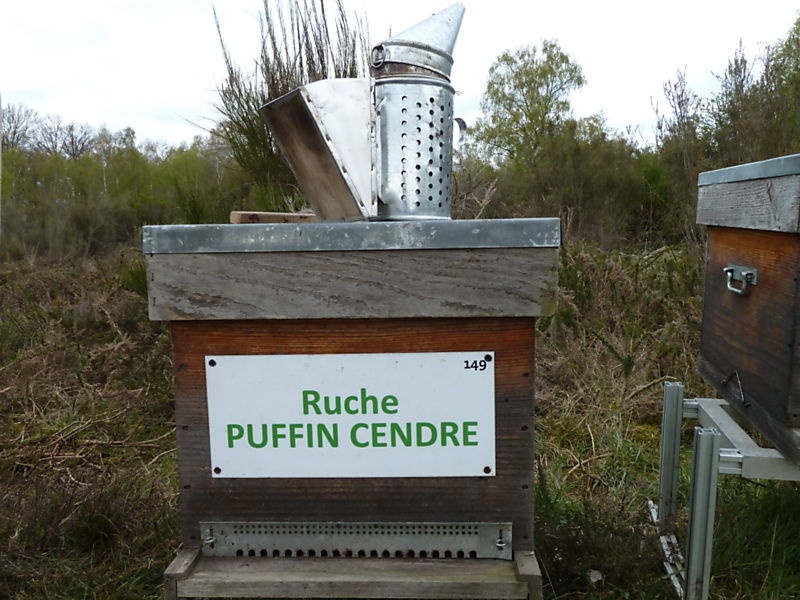 La ruche Puffin cendre