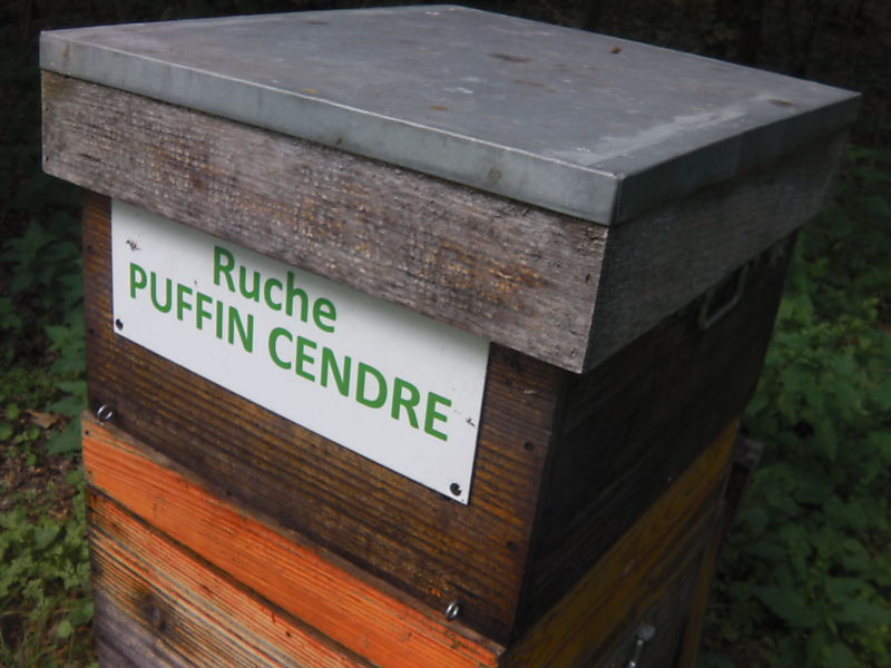 La ruche Puffin cendre