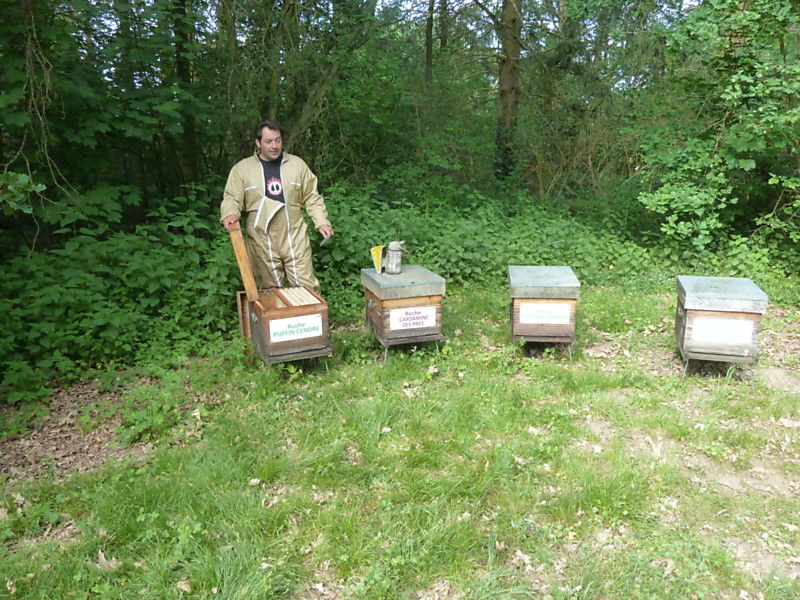 La ruche Puffin cendre