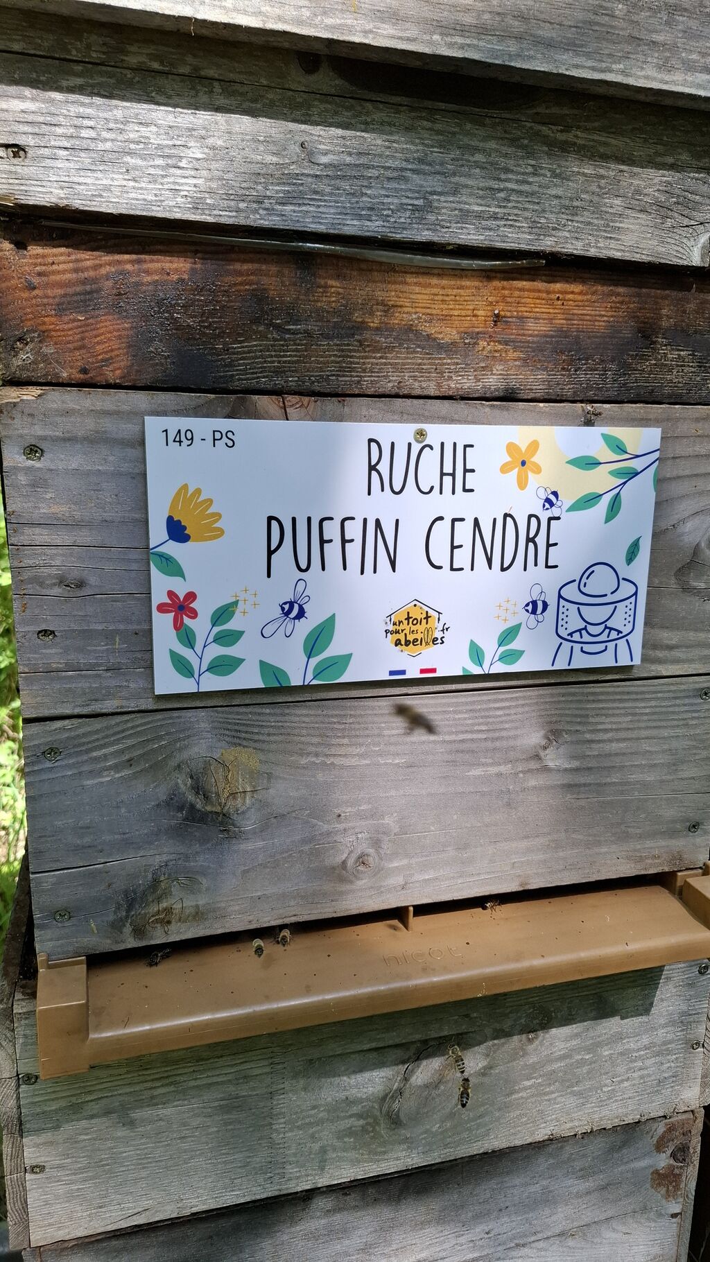 La ruche Puffin cendre