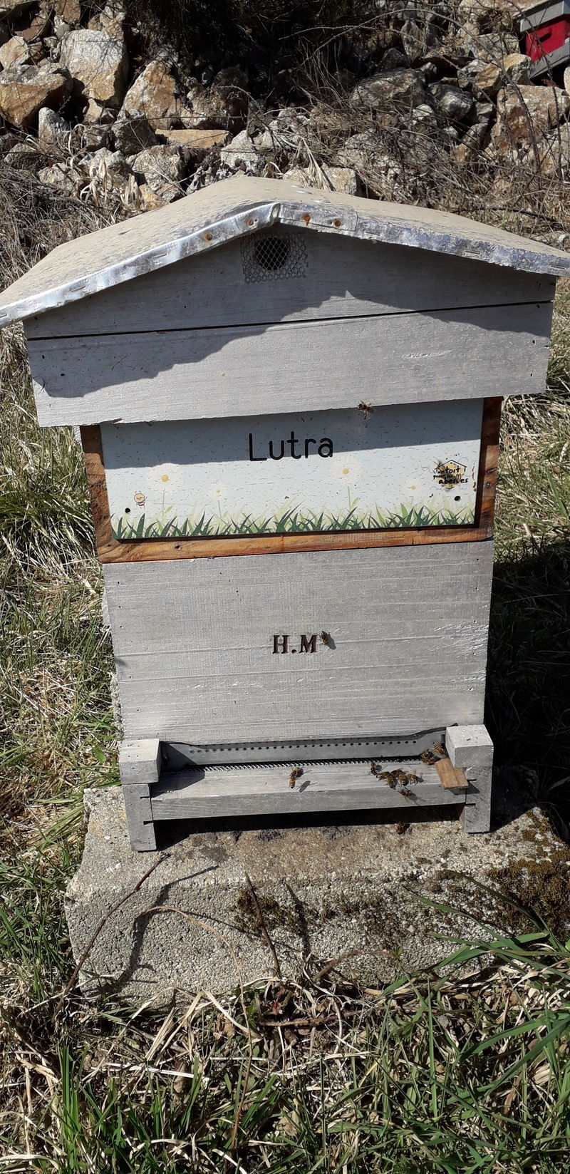 La ruche Lutra