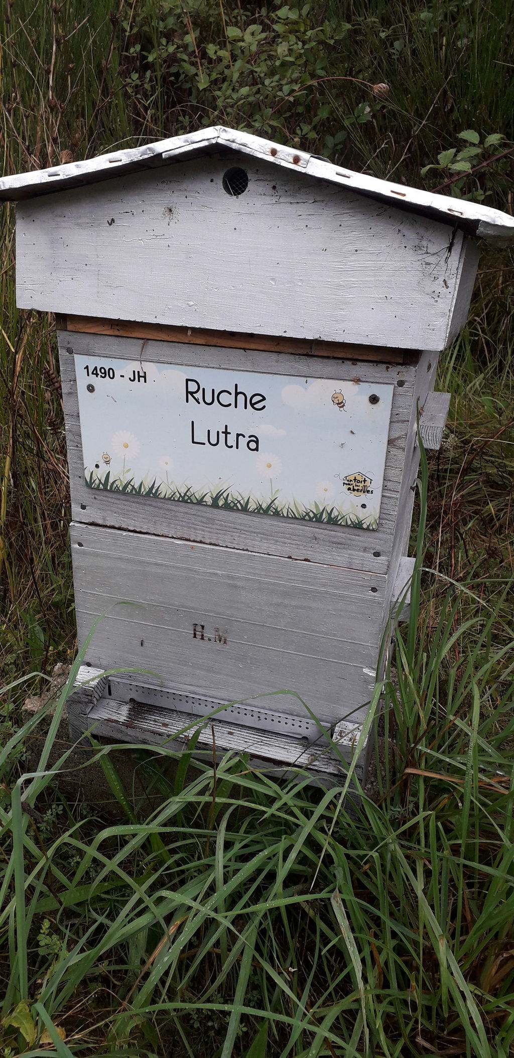 La ruche Lutra