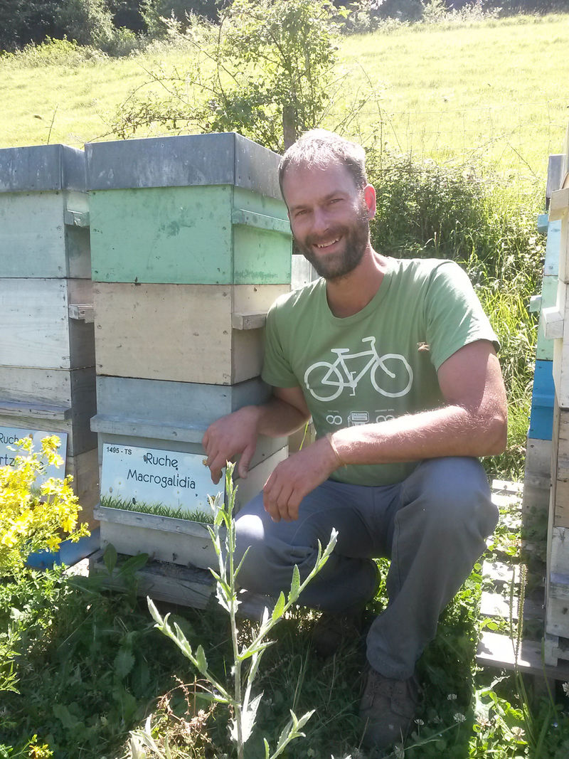 La ruche Macrogalidia