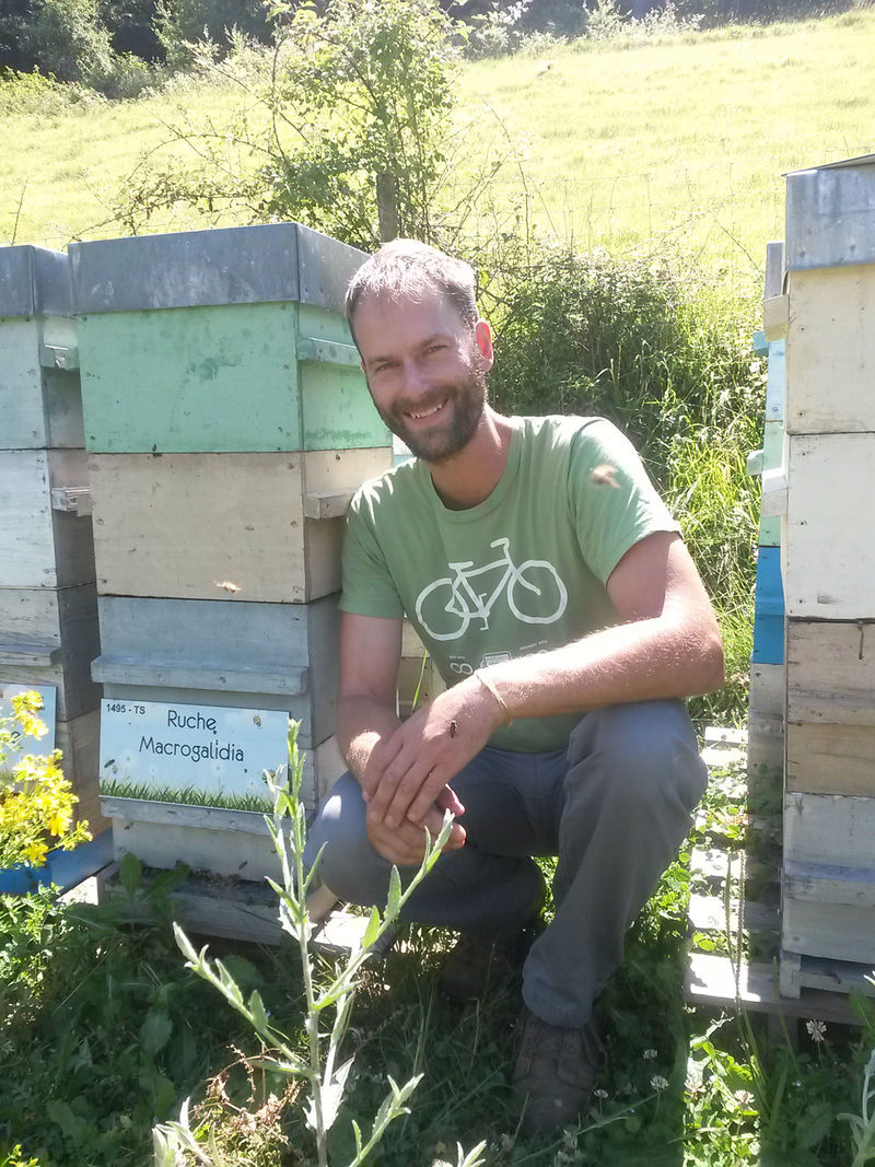 La ruche Macrogalidia