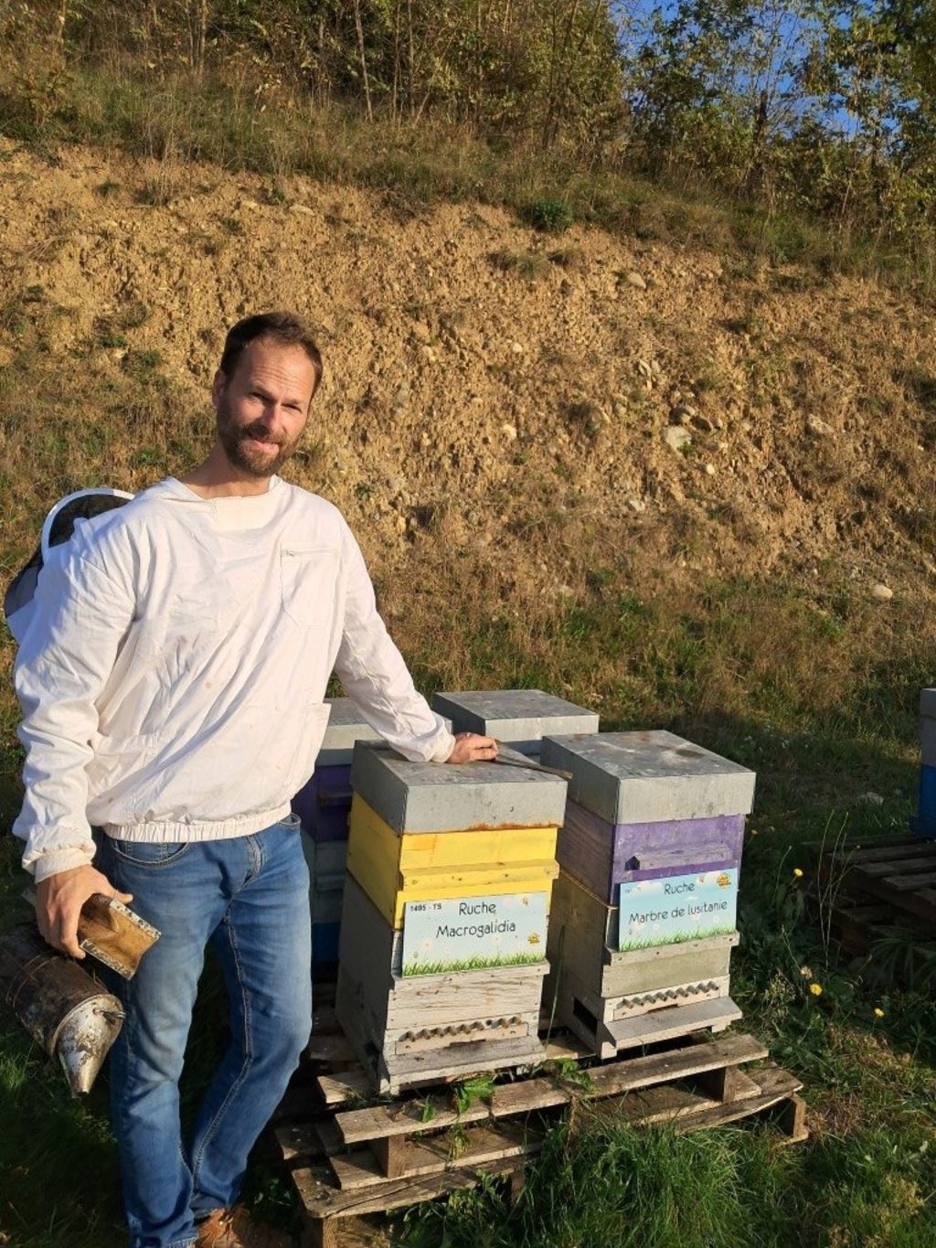 La ruche Macrogalidia