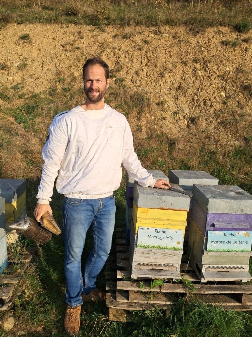 La ruche Macrogalidia