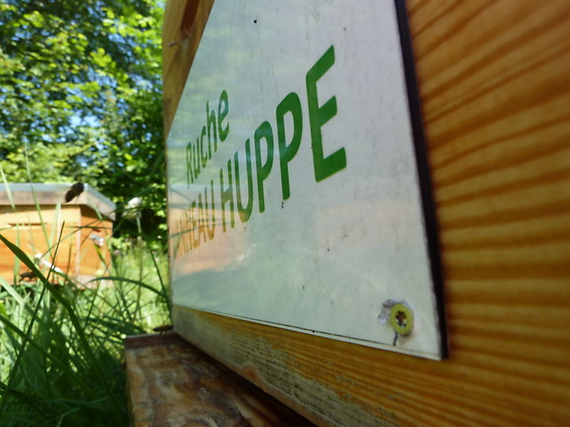 La ruche Vanneau huppé