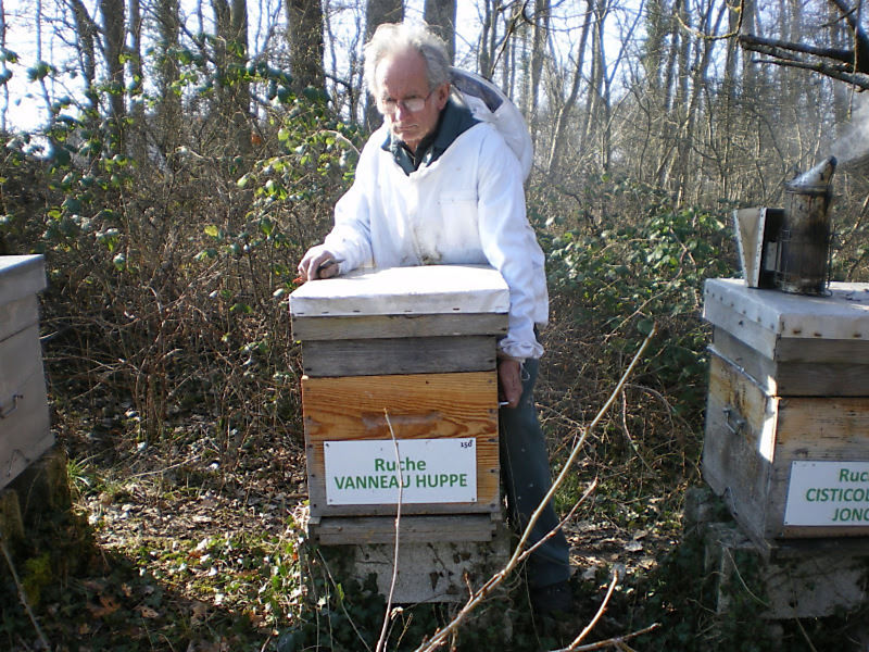 La ruche Vanneau huppé