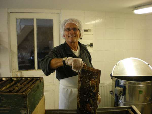 La ruche Vanneau huppé