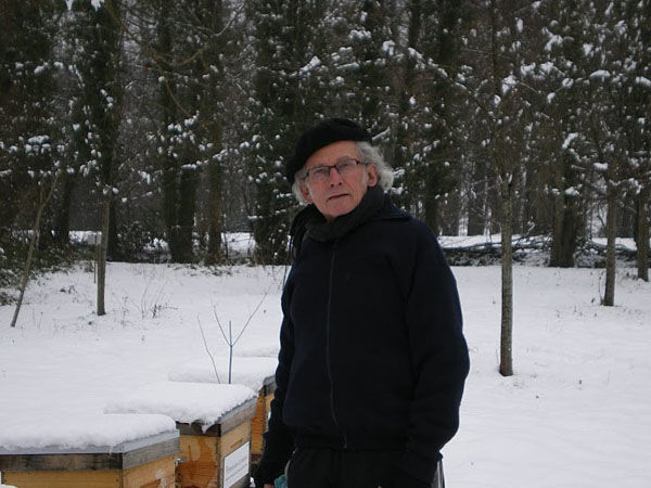 La ruche Vanneau huppé