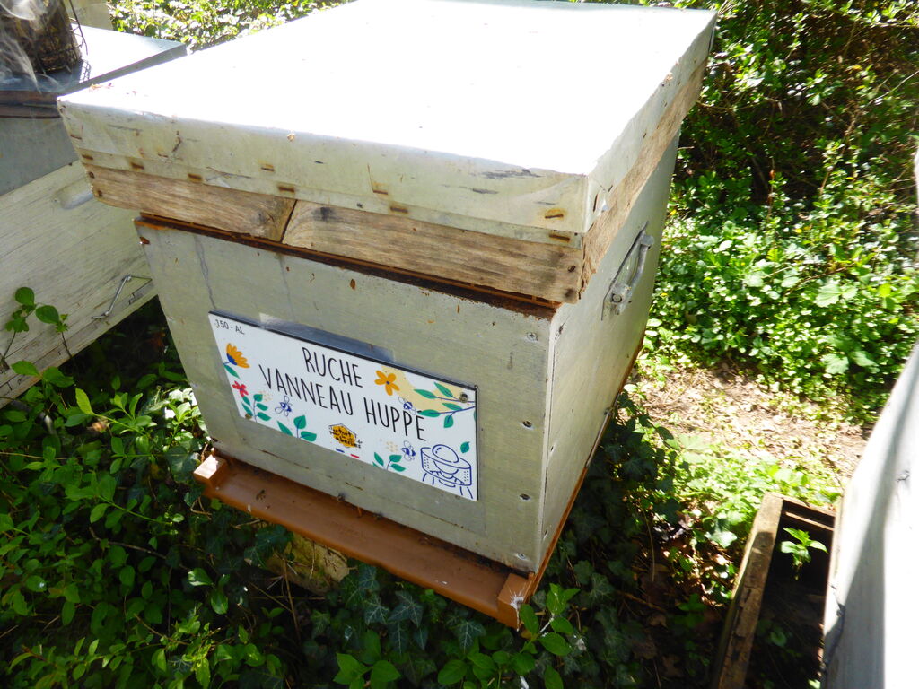 La ruche Vanneau huppé