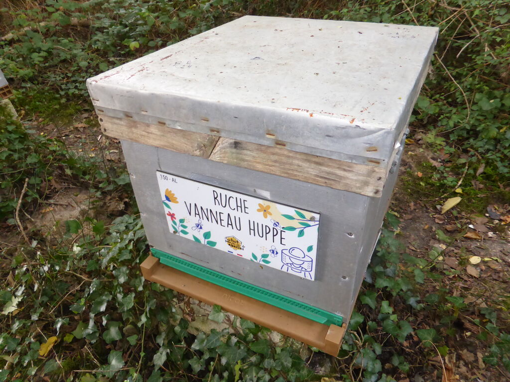 La ruche Vanneau huppé