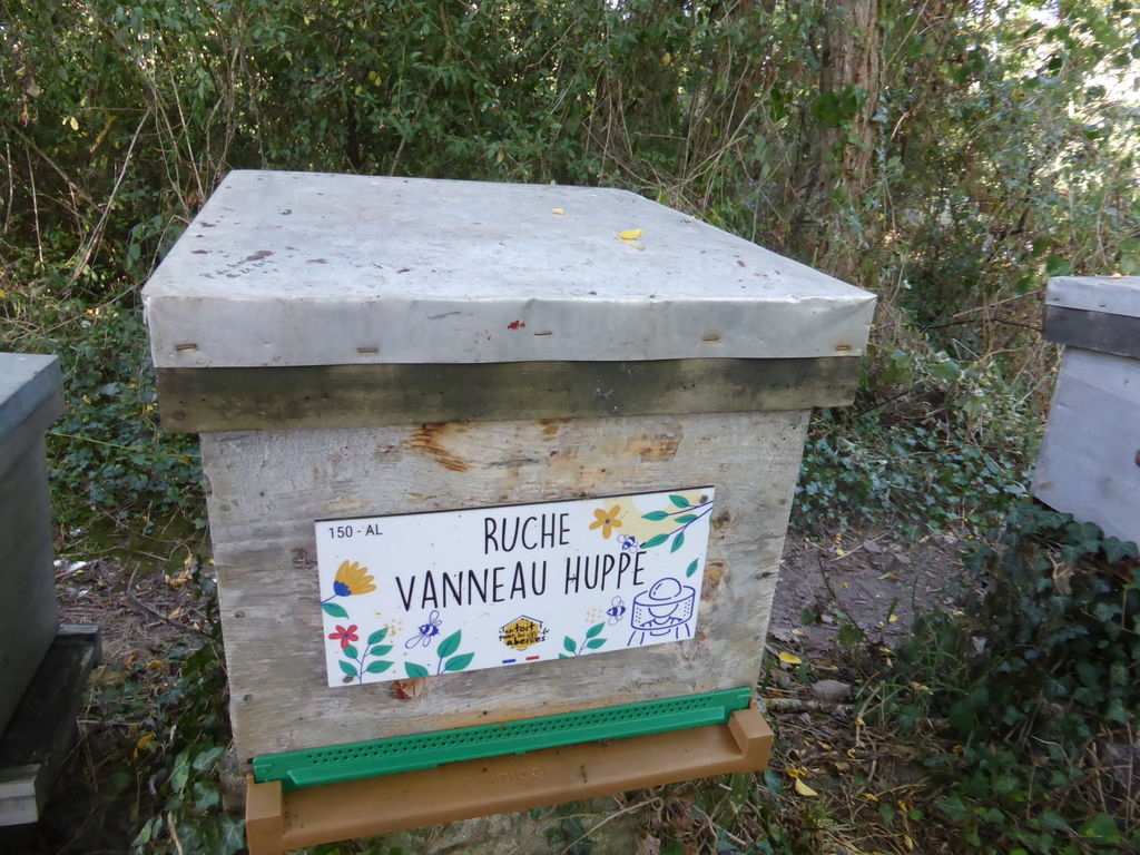 La ruche Vanneau huppé