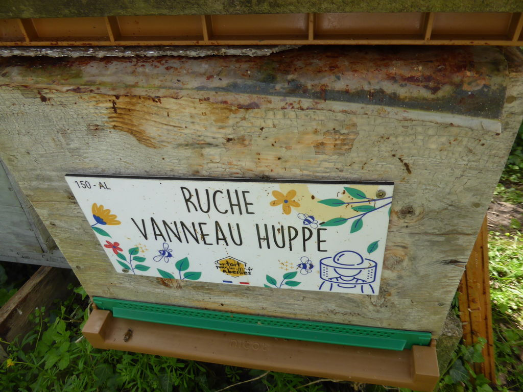 La ruche Vanneau huppé