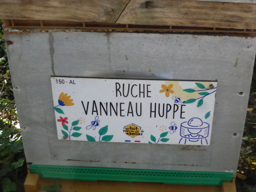 La ruche Vanneau huppé