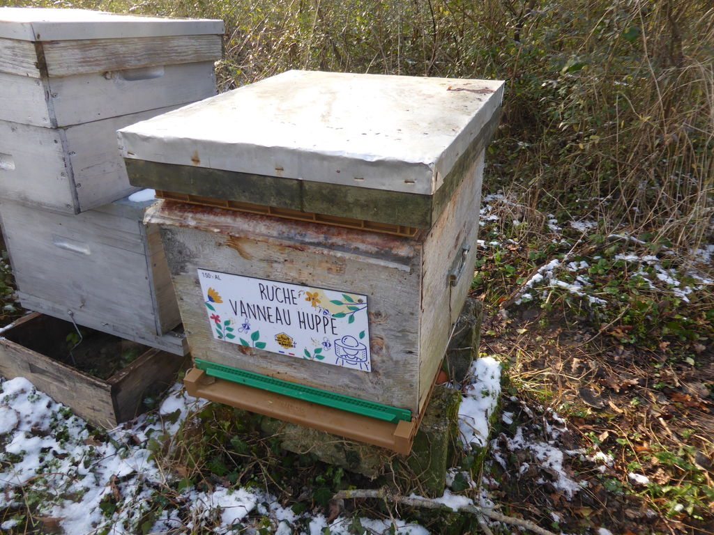 La ruche Vanneau huppé