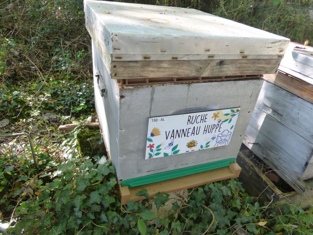 La ruche Vanneau huppé