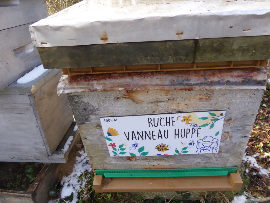 La ruche Vanneau huppé
