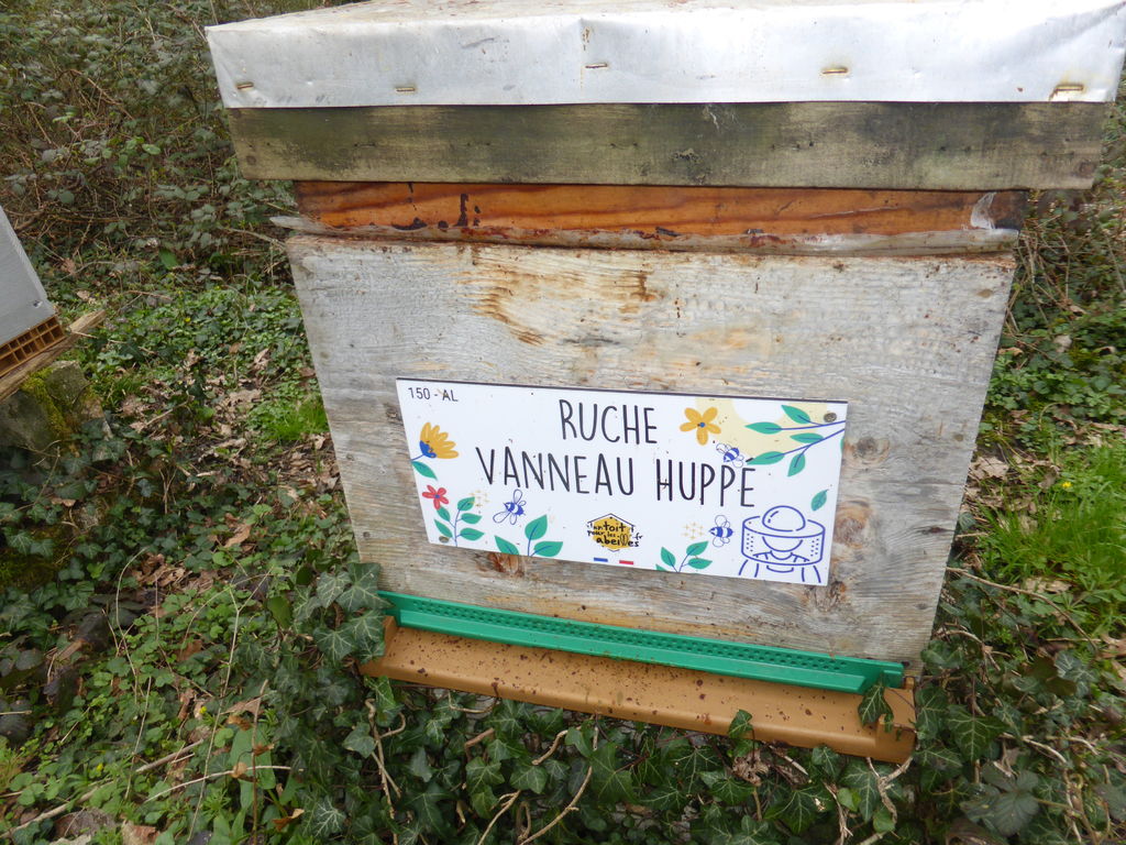 La ruche Vanneau huppé