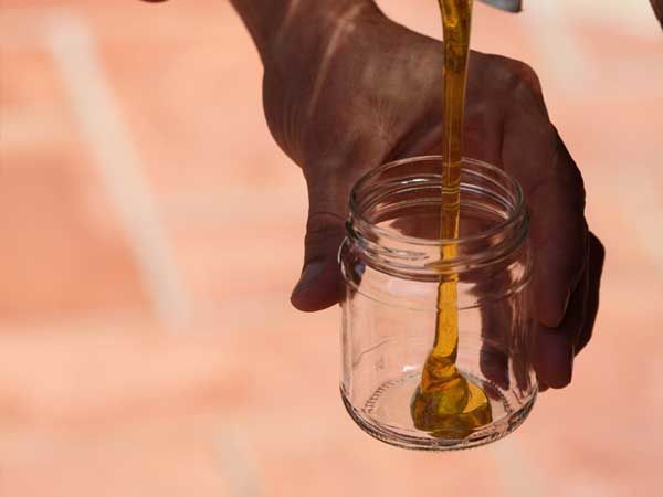 La ruche Grand gravelot