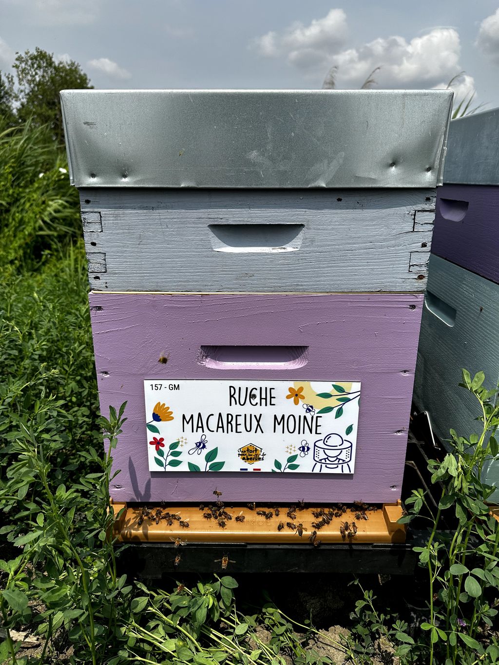 La ruche Macareux moine