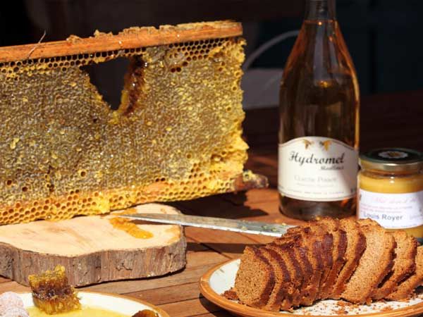 La ruche Grand-duc d europe