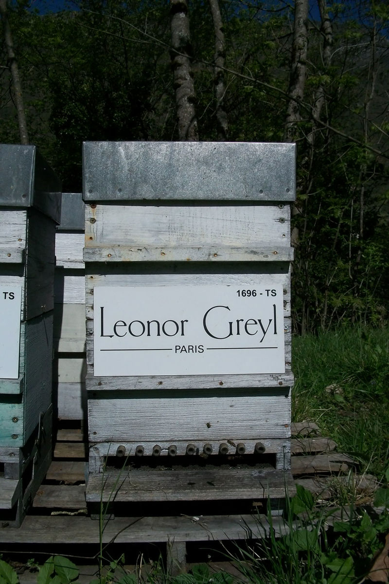 La ruche Leonor Greyl