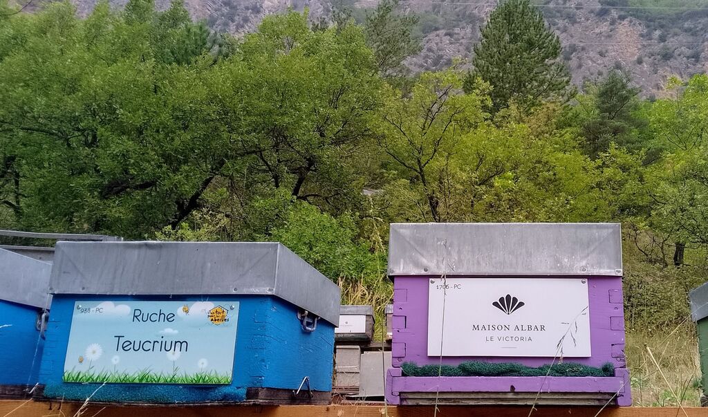 La ruche MAISON ALBAR LE VICTORIA